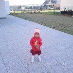 IMG_20120325_182534